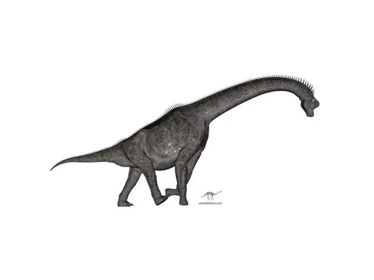 Brachiosaurus im Seitenprofil