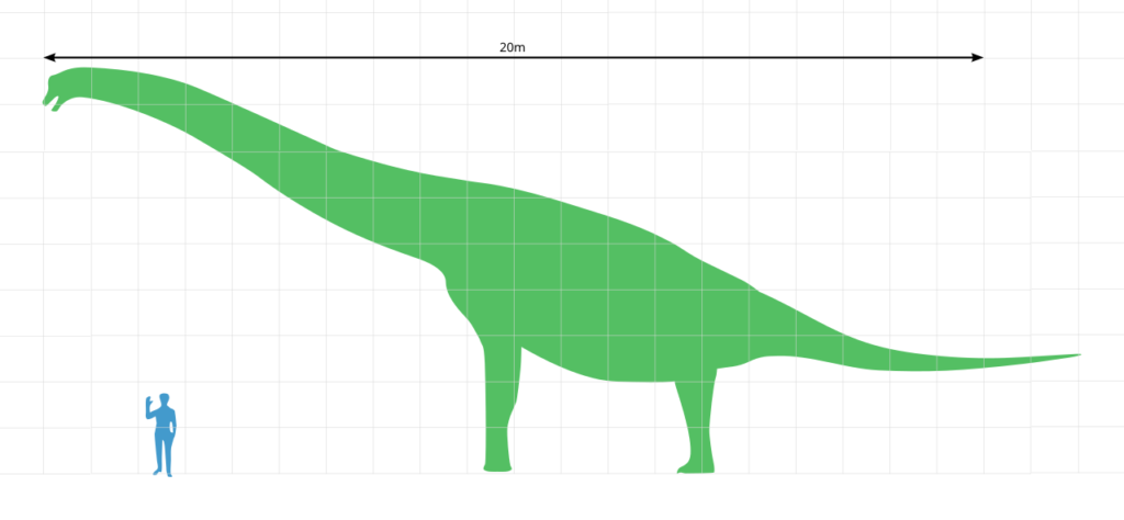 Größenvergleich eines Brachiosaurus gegenüber einem Menschen.