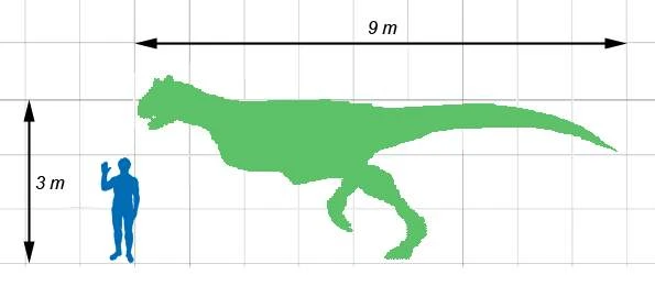 Carnotaurus im Größenvergleich zum Menschen.