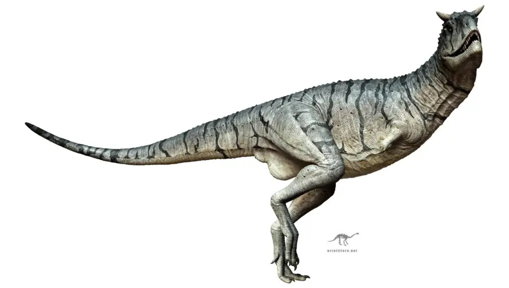 Carnotaurus sastrei