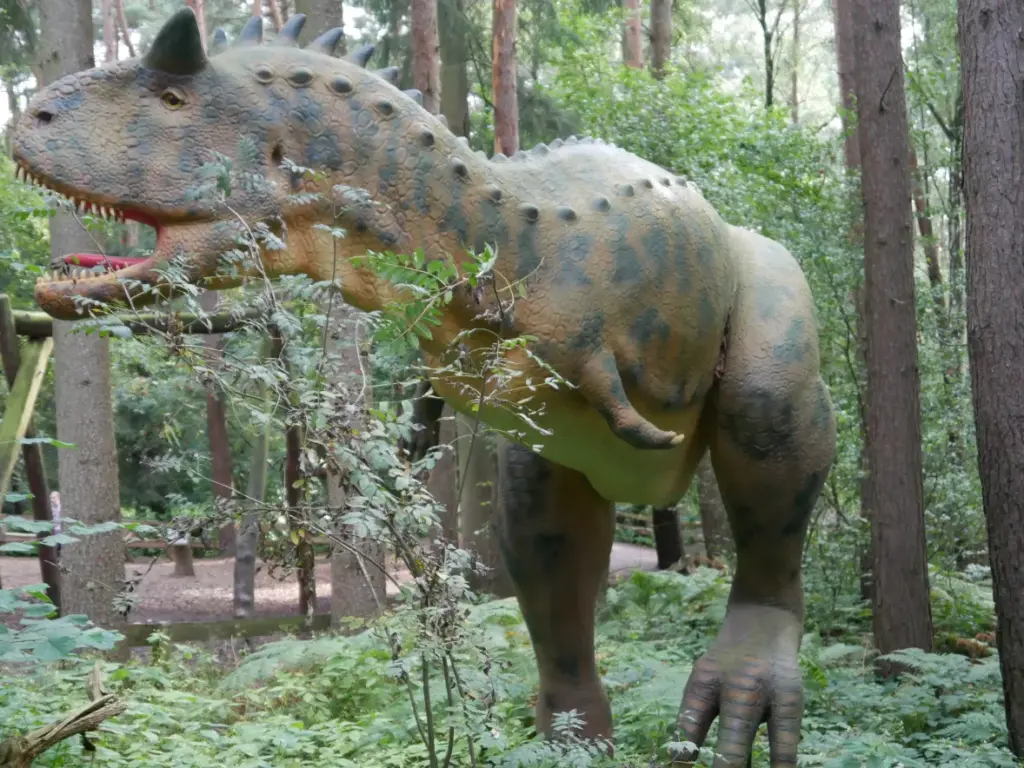 Carnotaurus Fleischfresser mit Hörnen