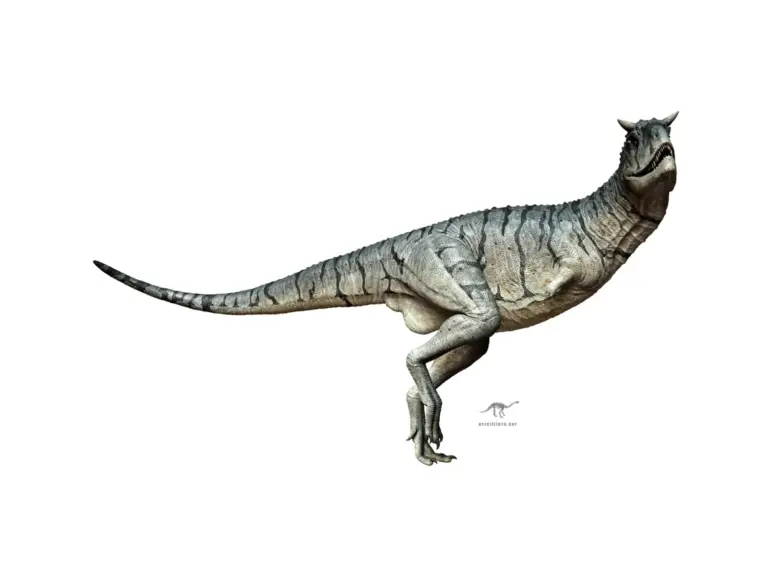 Carnotaurus sastrei