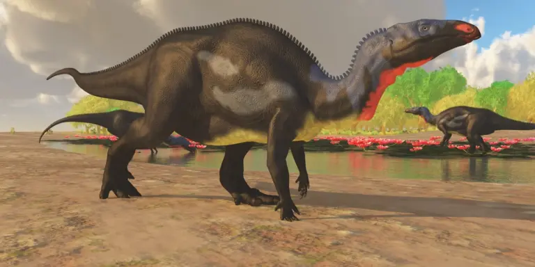 A herd of Camptosaurus dinosaurs visits a pond in the Jurassic period to eat and drink.