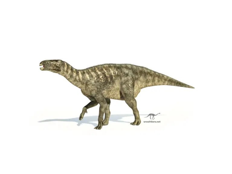 Iguanodon bernissartensis