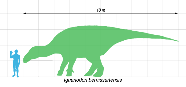Iguanodon im Größenvergleich zum Menschen.