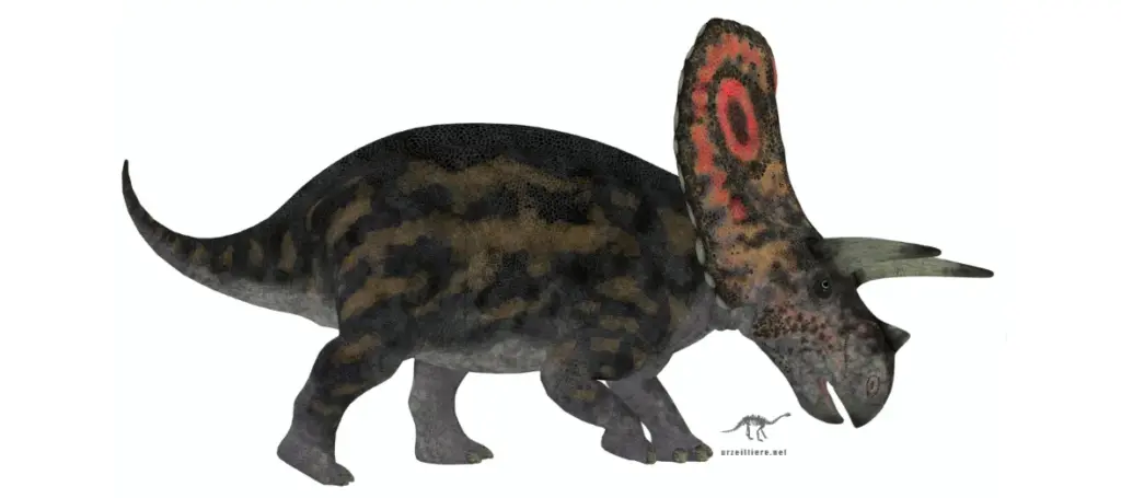 Torosaurus gladius