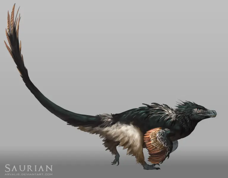 Acheroraptor