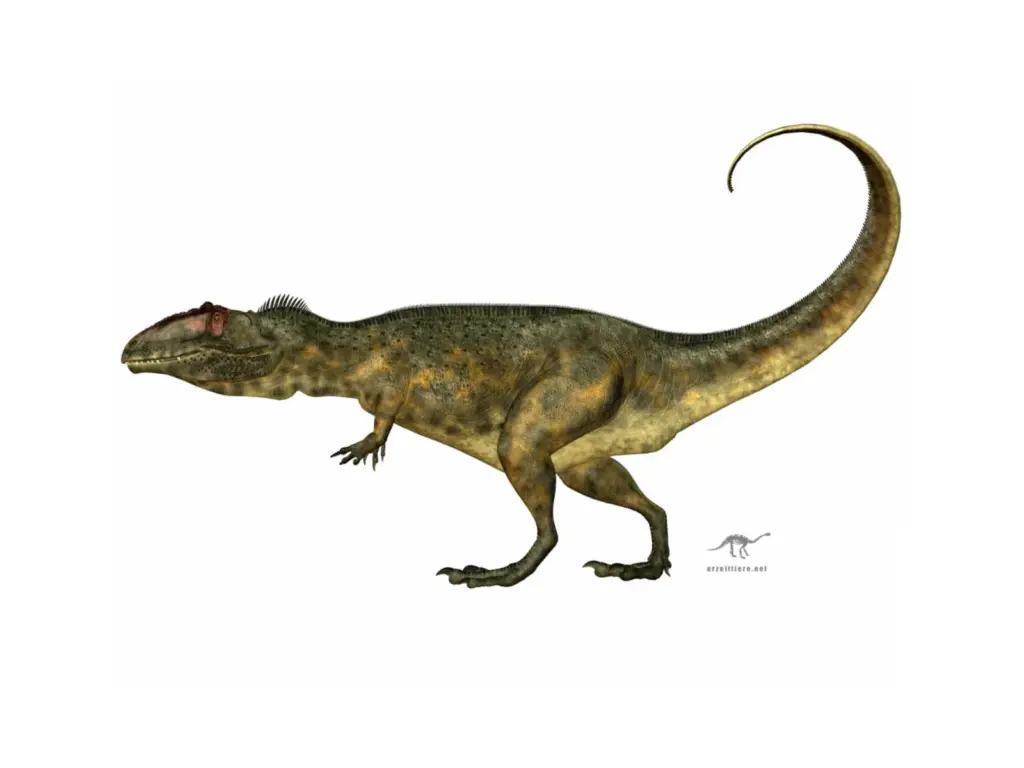 Giganotosaurus im Seitenprofil