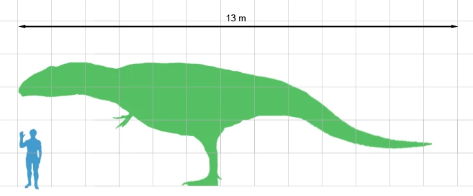 Giganotosaurus Größenvergleich zum Menschen