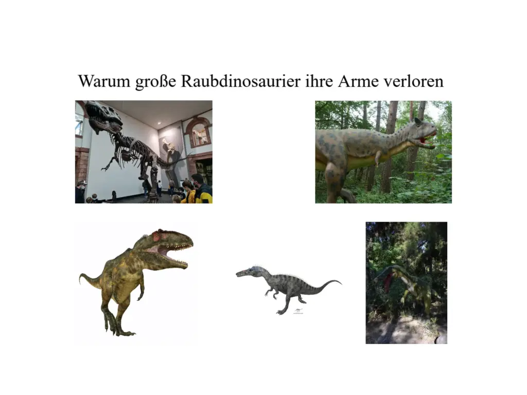 Stummelarme: Warum große Raubdinosaurier ihre Arme verloren