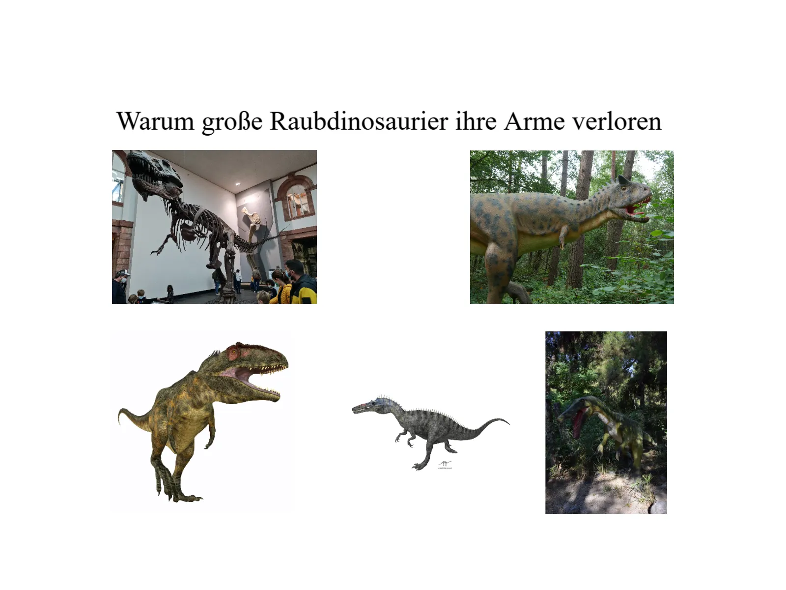 Stummelarme: Warum große Raubdinosaurier ihre Arme verloren