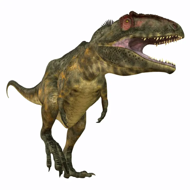 Giganotosaurus | Fleischfresser | künstelrische Darstellung