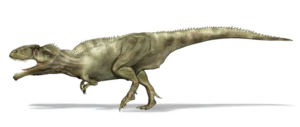 Giganotosaurus carolinii | künstlerische Darstellung